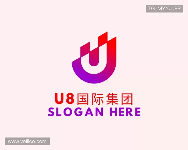 发现U8国际集团